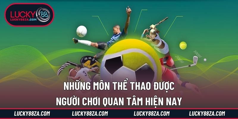 Những môn thể thao được người chơi quan tâm hiện nay